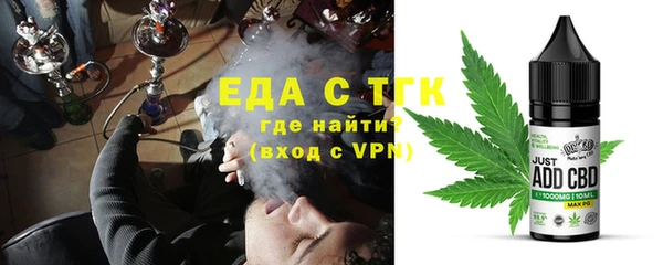 тгк Бородино