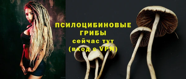 тгк Бородино