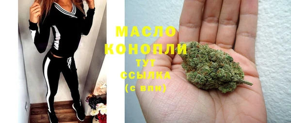 тгк Бородино