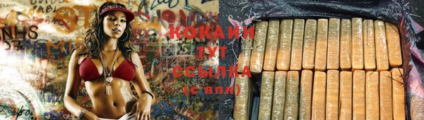 тгк Бородино