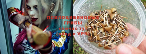 винт Бронницы