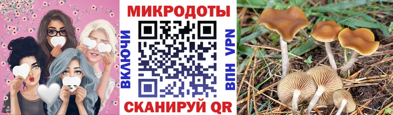Псилоцибиновые грибы Cubensis  цены наркотик  Новопавловск 